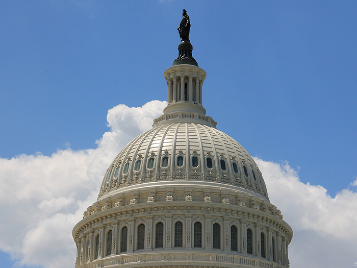 U.S. Capitol Dome