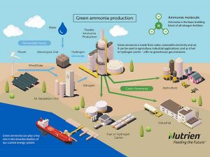 Green ammonia infographic
