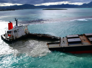 MV Wakashio accident