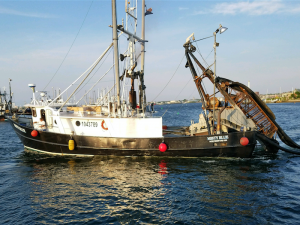 Misty Blue fishing vessel