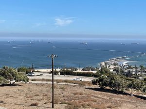 Image tweeted by Marine Exchange of Southern California shows ships on hold in San Pedro Bay.