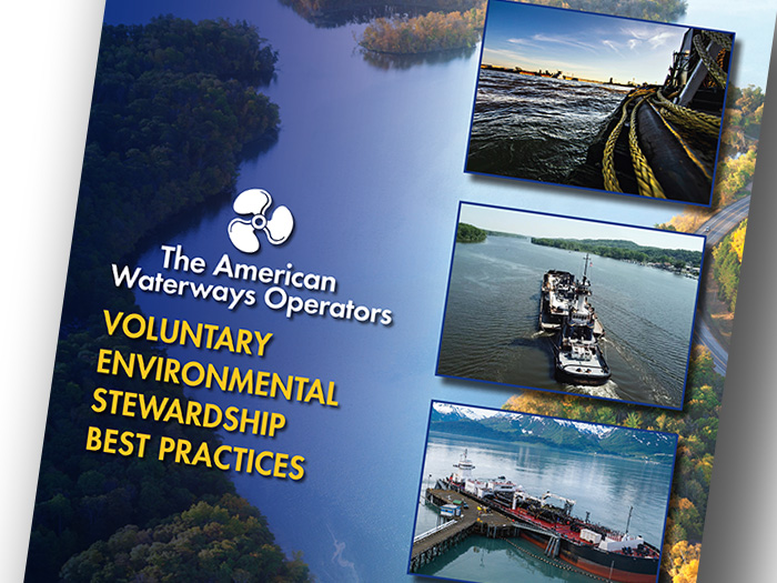 Cover of Environmental Best Practices