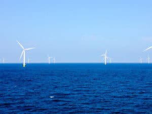 Wind farm where offshore wind turbine failure took place