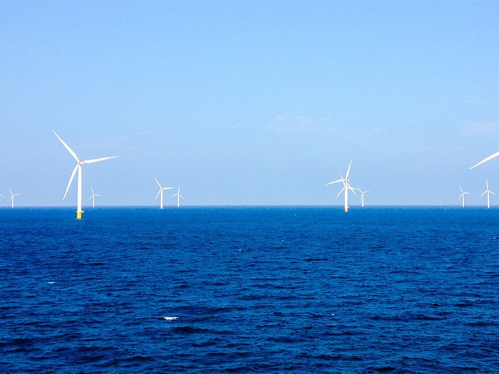 Wind farm where offshore wind turbine failure took place