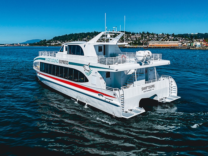 stern view of whale-watching vessel