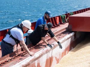 Black Sea Grain initiative cargp inspection