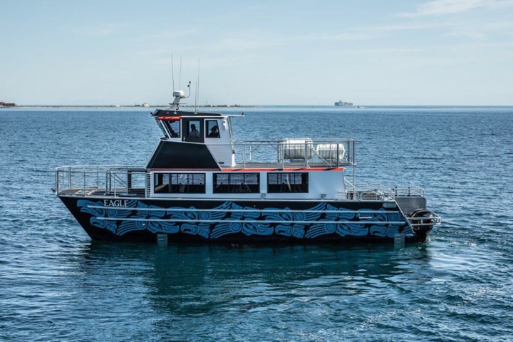 Side vew of whale watching boat