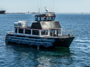 whale watching boat