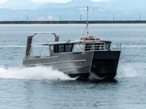 shark diving boat