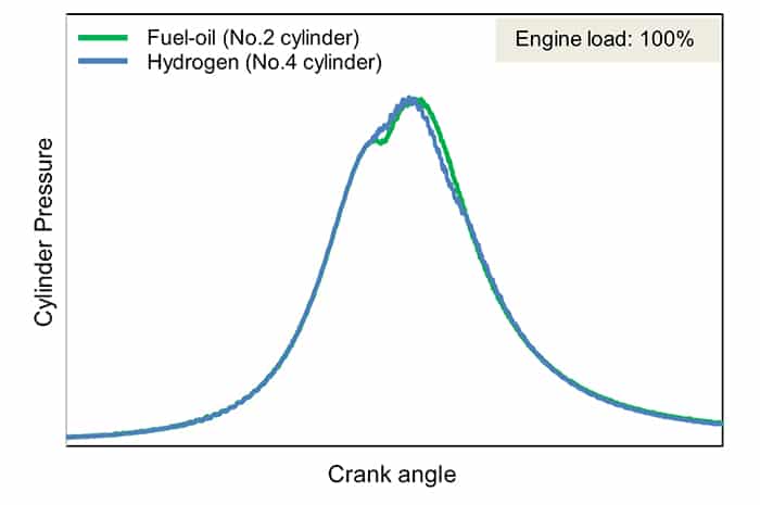 100% hydrogen test