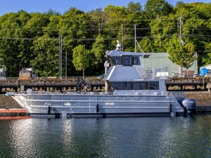 LandingCat alongside