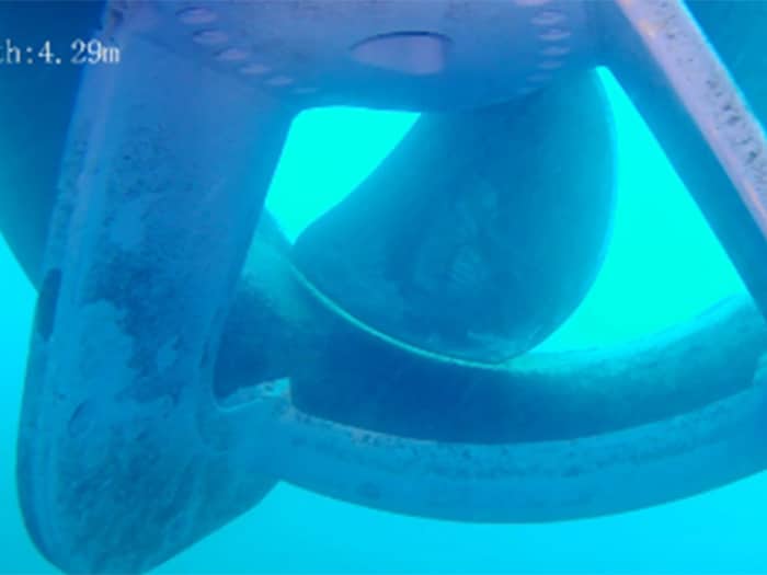 MaDfly ROV