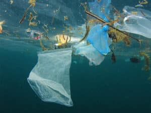 Earlier this January, reports surfaced detailing a significant incident involving the spillage of nurdles from shipping containers.