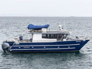 Airmid on the water