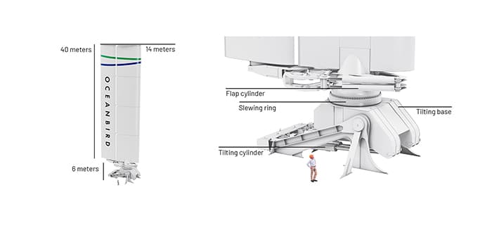 Oceanbird wing dimensions