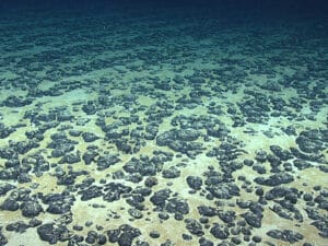 Deep sea critical minerals