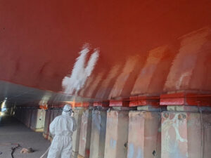 electrostatic application of marine fouling control coatings